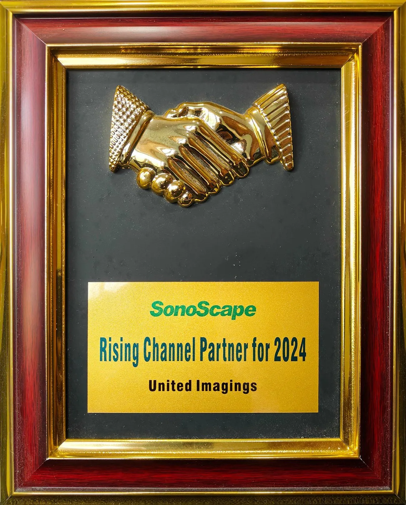 Rising Channel Partner in 2024 — United Imagings